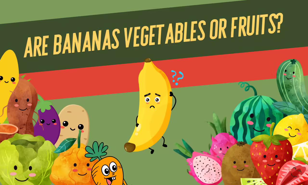 Are Bananas Vegetables or Fruits? Let’s Check Expert Opinions