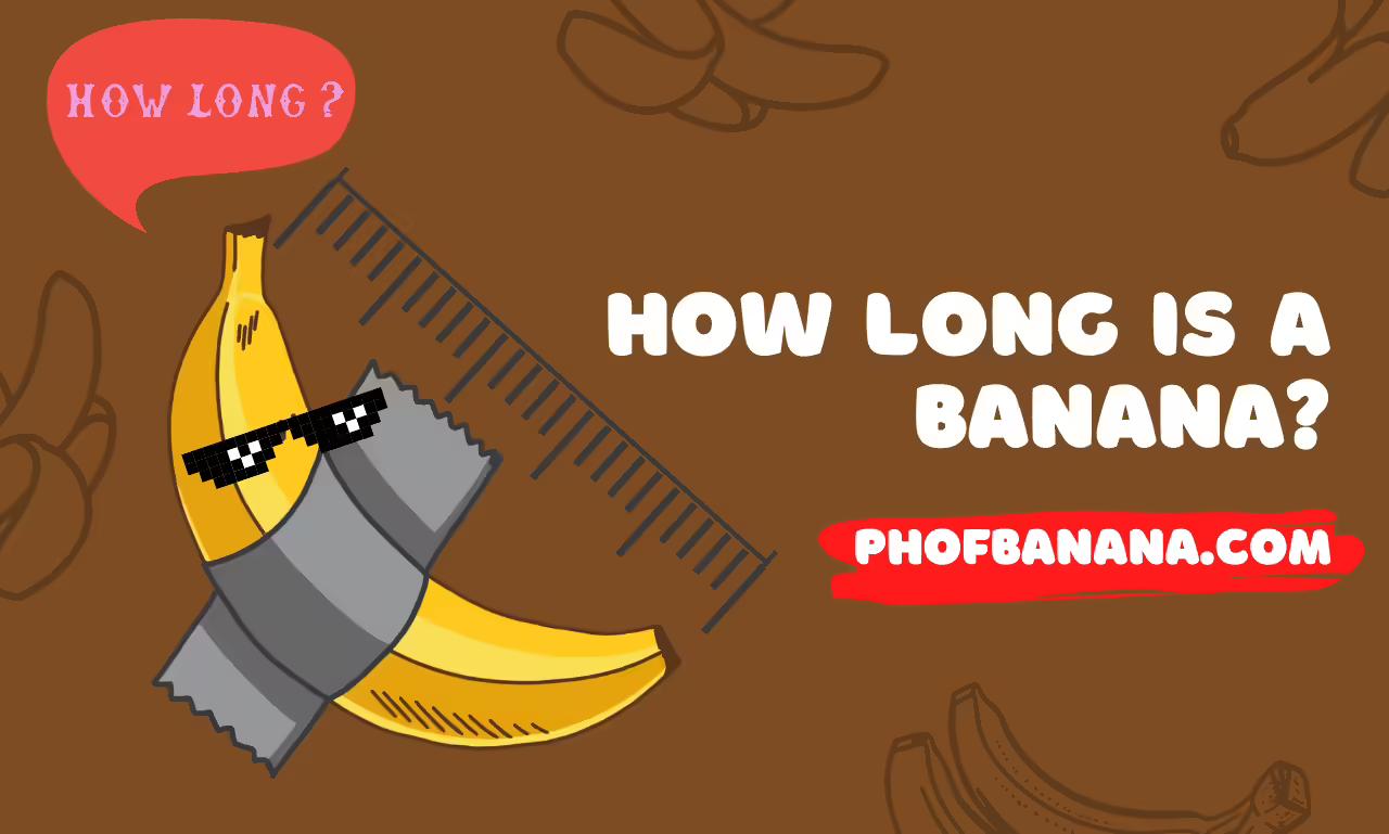 How long is a banana?