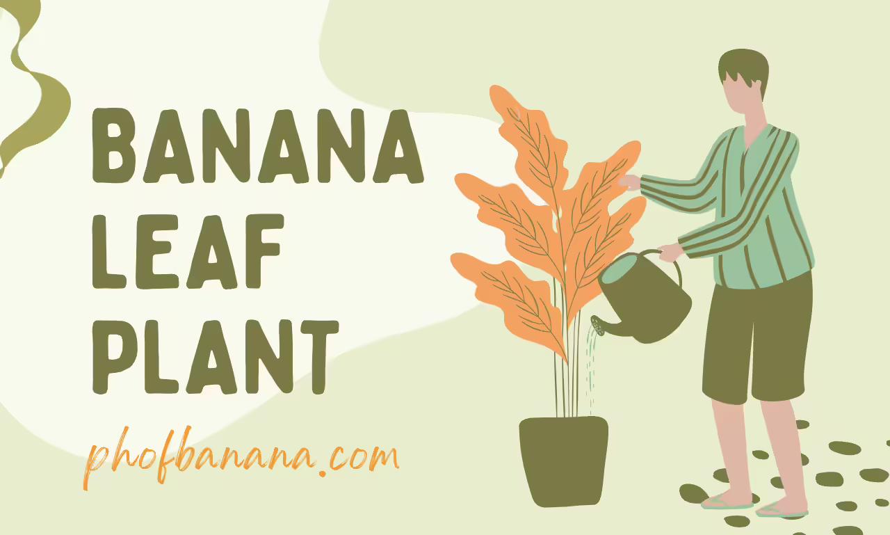 Banana Leaf Plant: A decoration Dimension