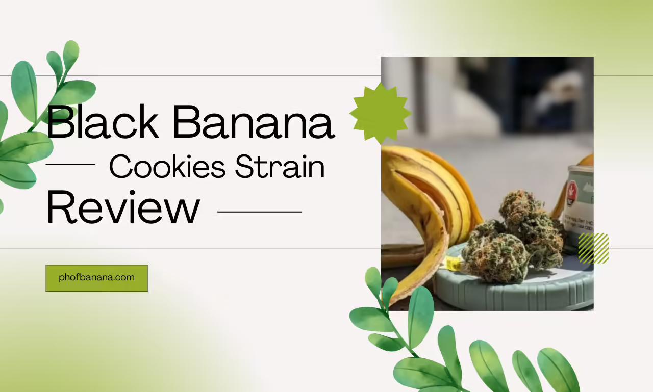 Black Banana Cookies Strain Review