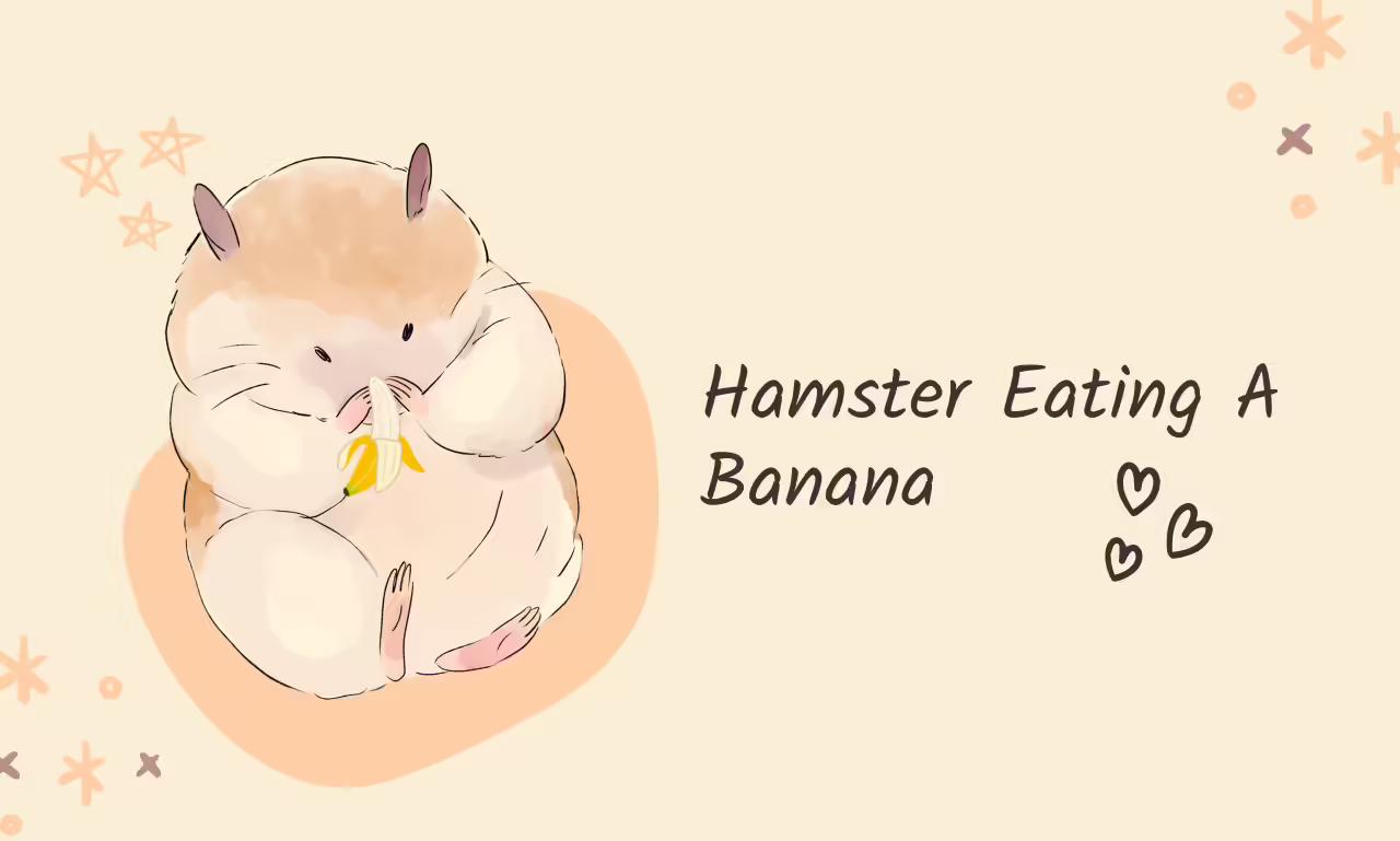 Hamster Eating A Banana: Know How They Eat