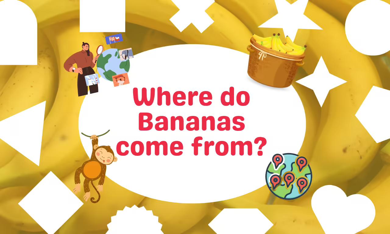 Where do Bananas come from?  