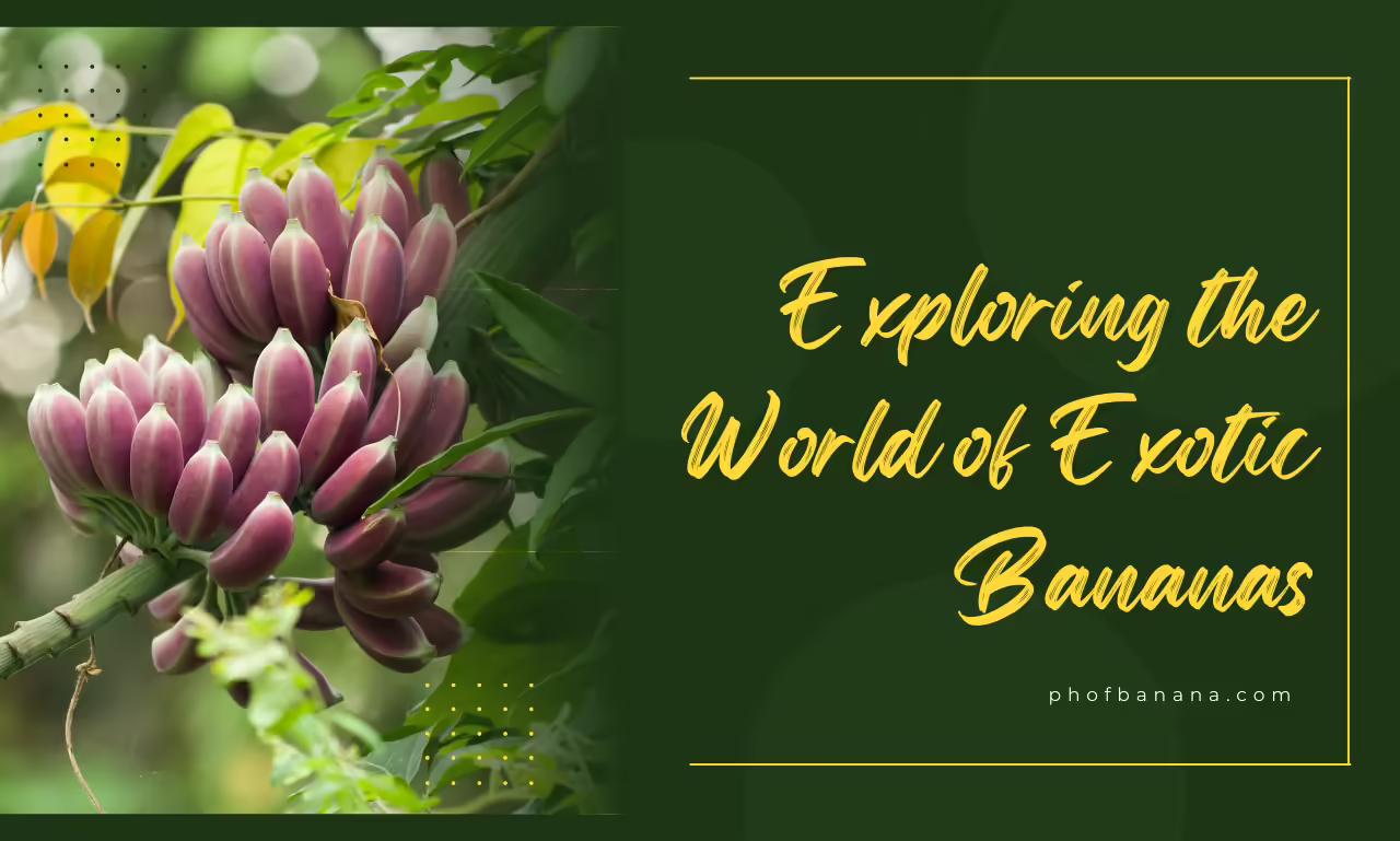 Exploring the World of Exotic Bananas: A Guide for Fruit Enthusiasts