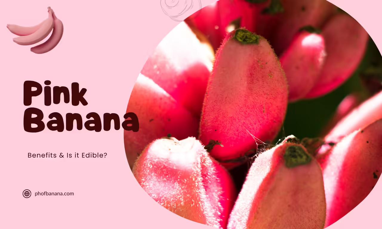 Pink Banana: Benefits & Is it Edible?