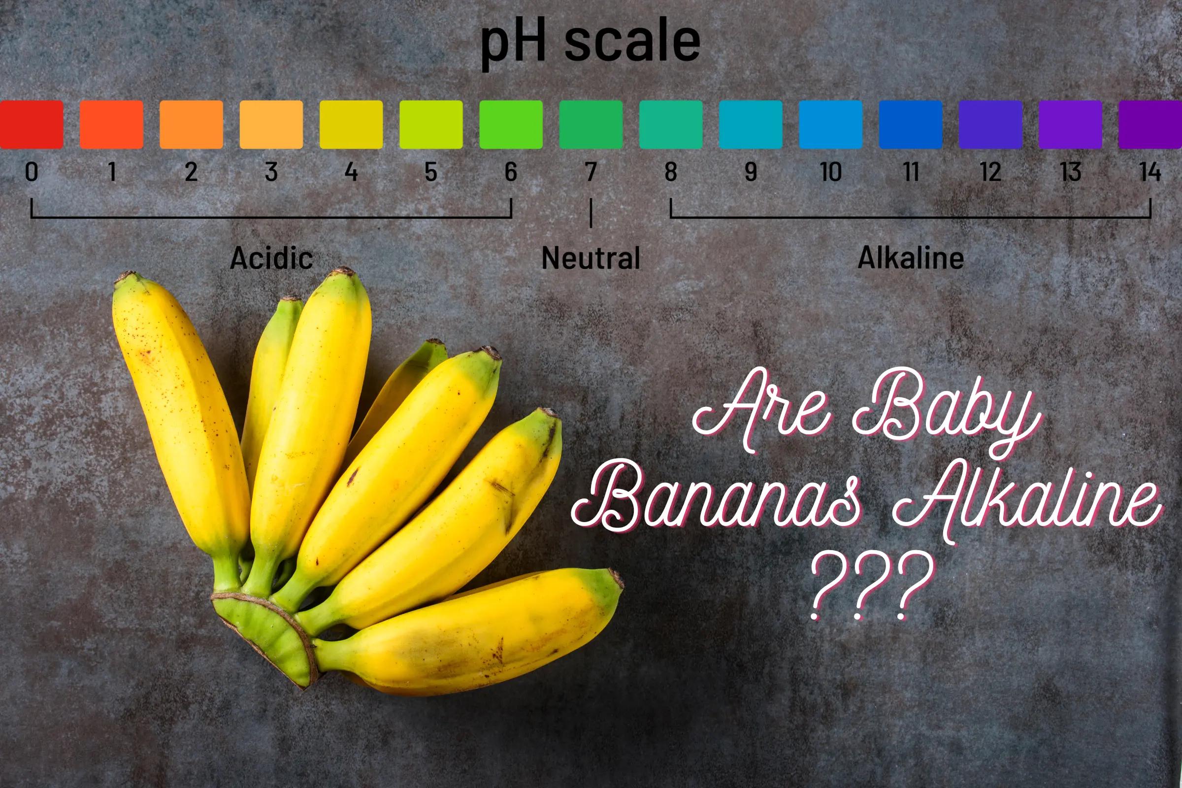 Are Baby Bananas Alkaline?