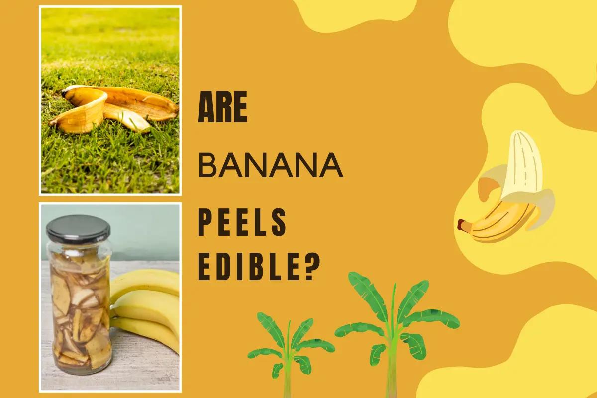 Are Banana Peels Edible? [Know the Facts]