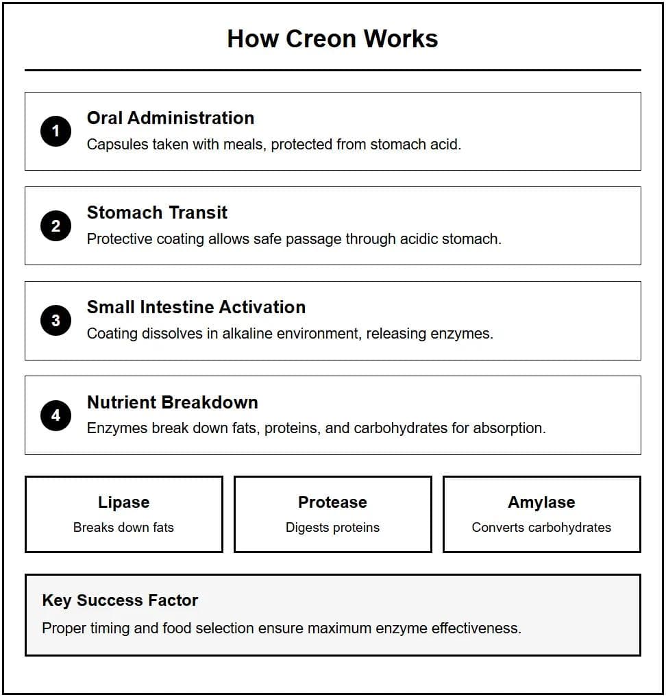 How Creon Works