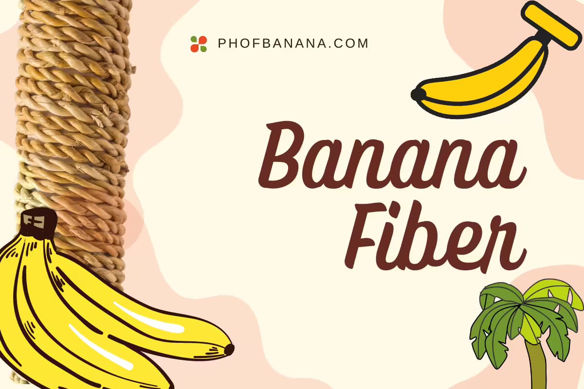 Banana Fiber