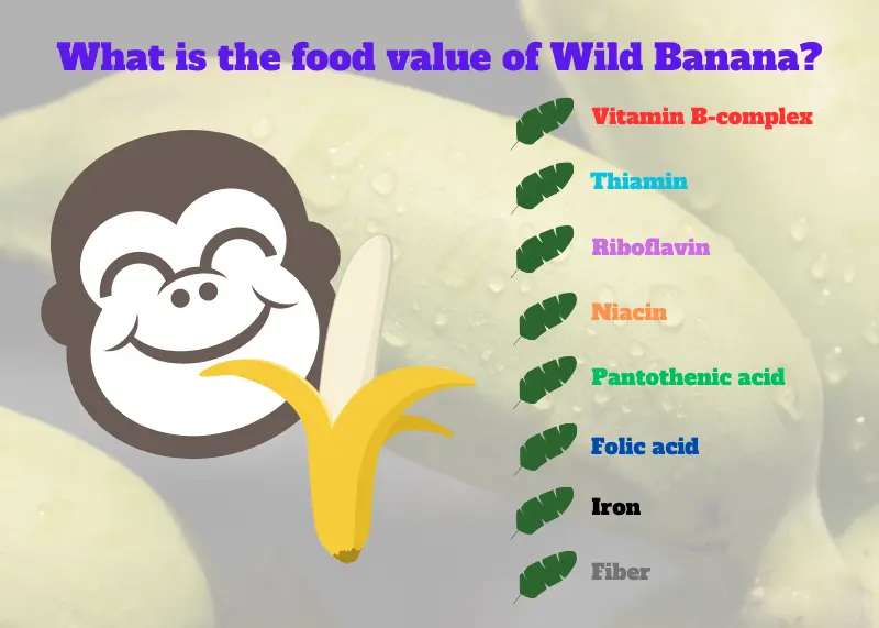 What is the food value of Wild Banana