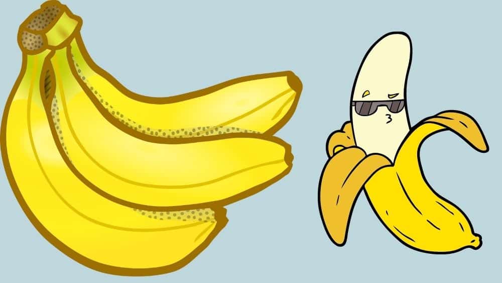 Why Bananas Are Curved