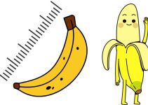 How long is a banana?