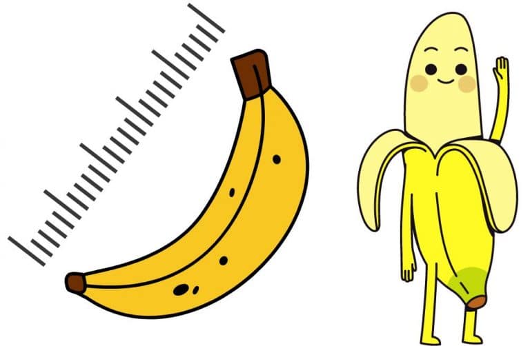 How long is a banana