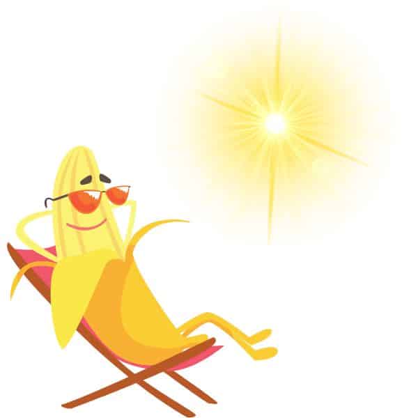 Banana is Attracted to Sunlight