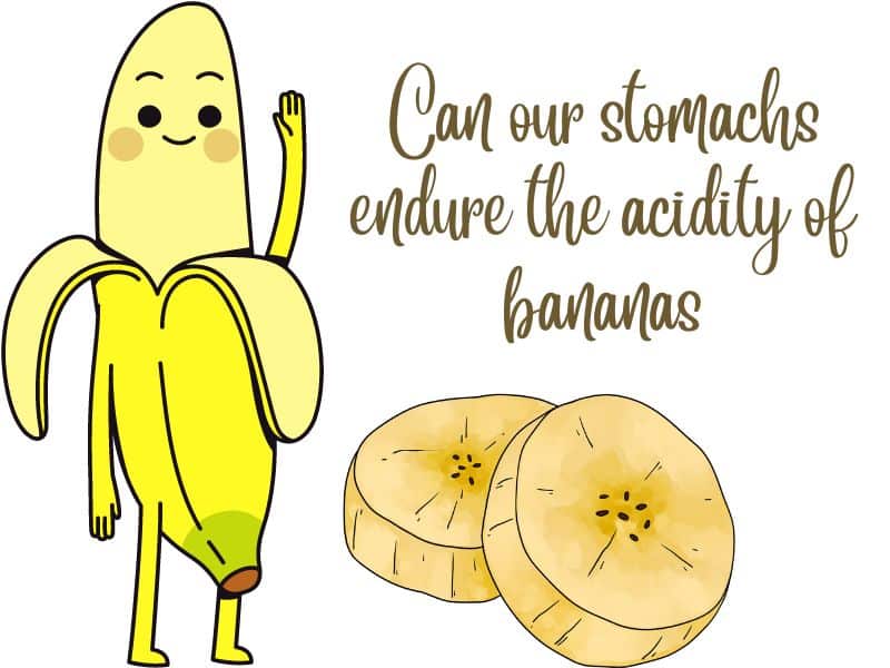 can our stomachs endure the acidity of bananas