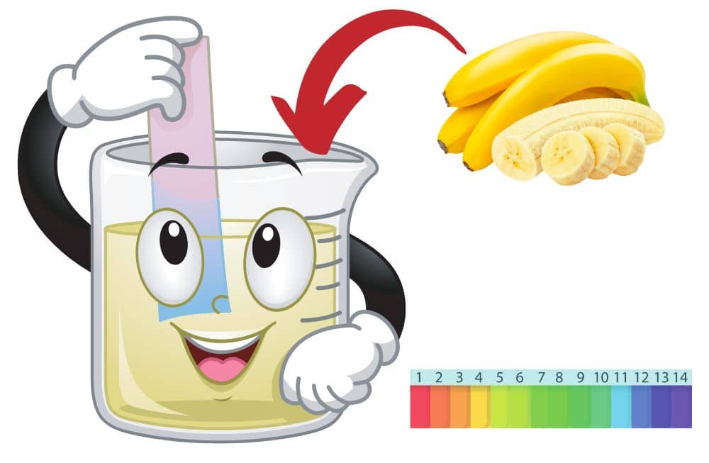 How to do a litmus test to measure the pH of banana