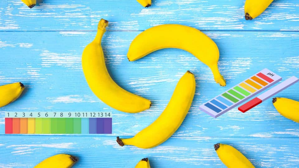 pH of banana Home
