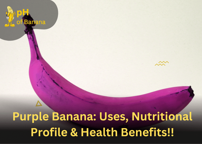 Purple Banana Uses, Nutritional Profile & Health Benefits!!