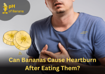 Can Bananas Cause Heartburn After Eating Them?
