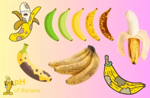 Can You Eat Bananas with Brown Spots