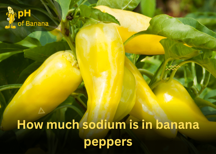 Sodium In Banana [ Nutritional Information & Health Benefits]