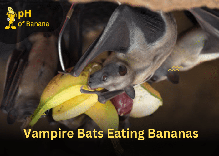 <strong>Bats Eating Bananas: Do Bats Like Bananas?</strong>