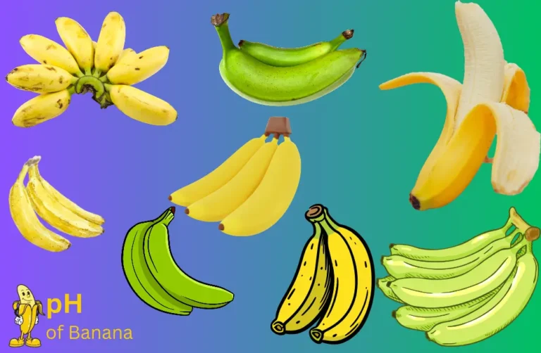 30 Different Types of Bananas [Explained]