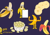 Are Bananas Good for Diabetics?