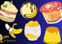 Can You Freeze Banana Pudding?