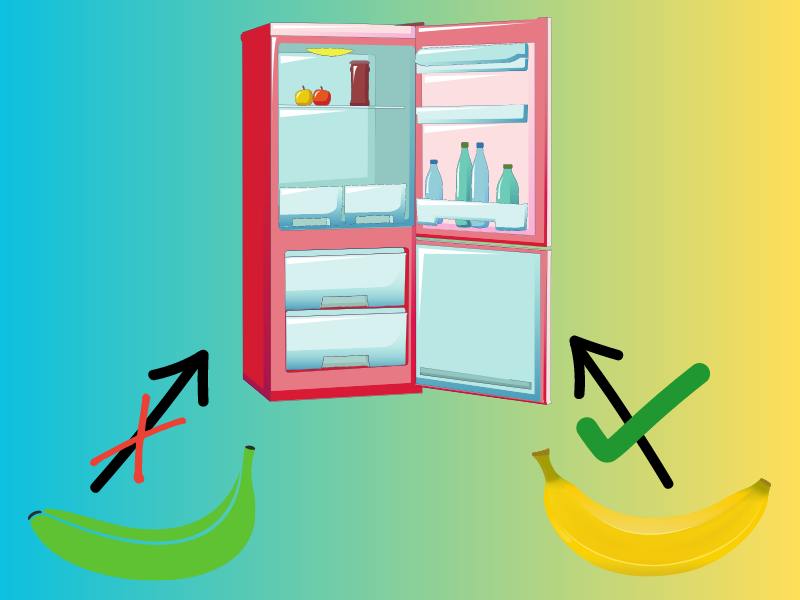 Do bananas stay fresh longer in the fridge or freezer
