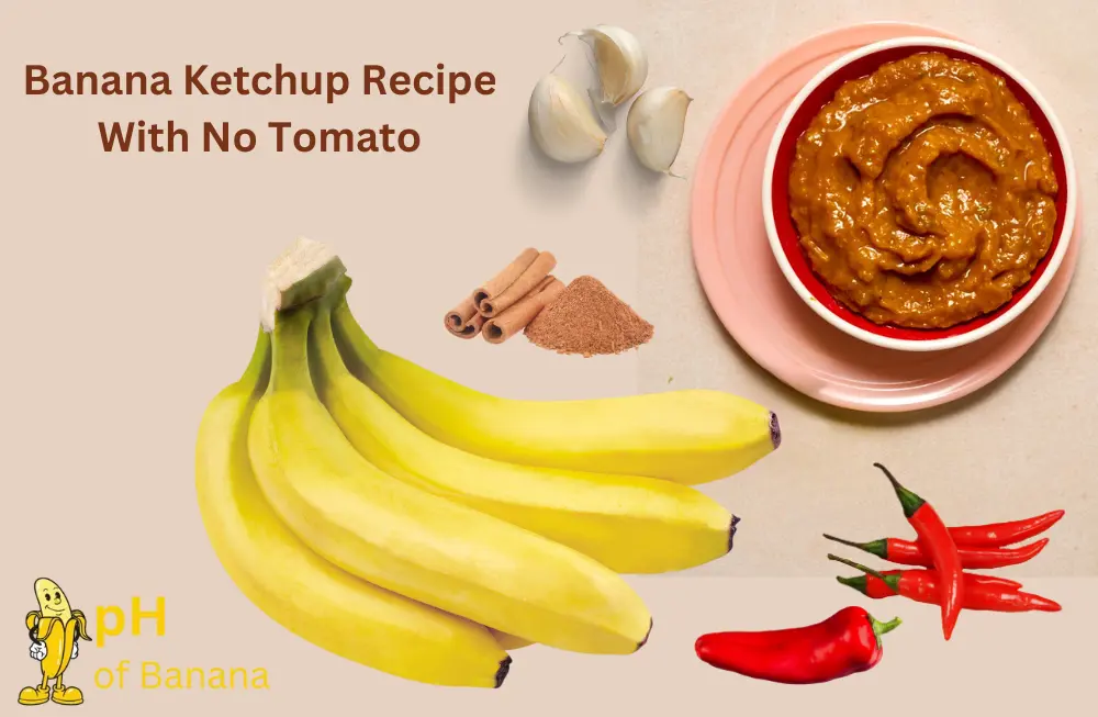 Banana Ketchup Recipe With No Tomato [Ultimate Recipes Of The Filipino Favorite!]  