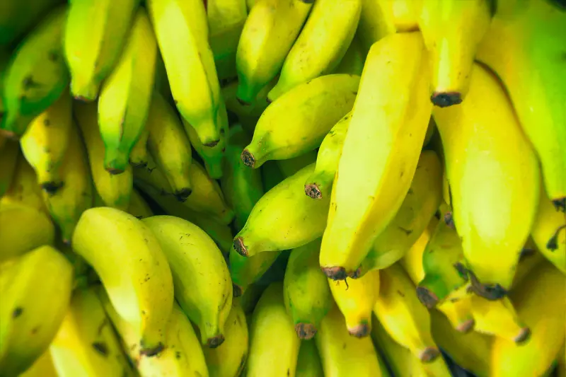 Brazilian Banana