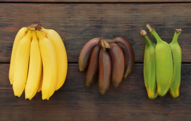 How many types of bananas are there