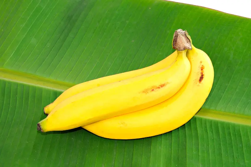 Kluai Hom Thong Banana