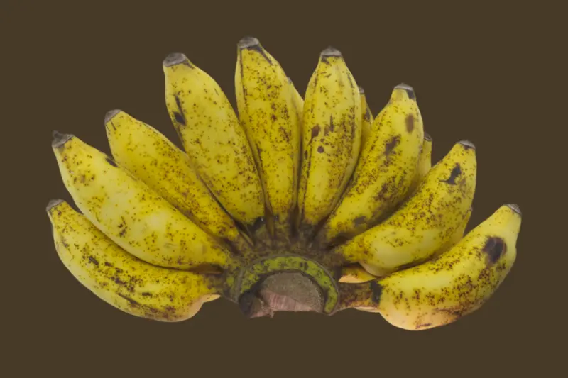 Nam Wah Banana