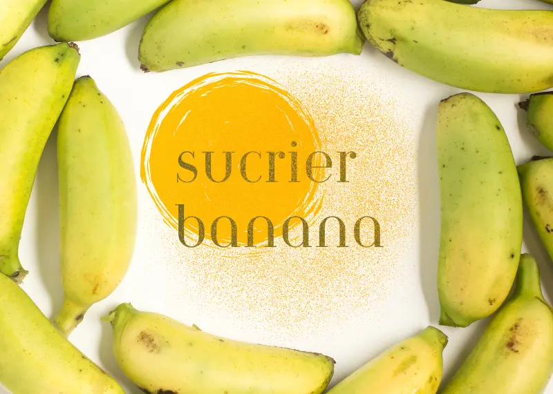 Sucrier Banana