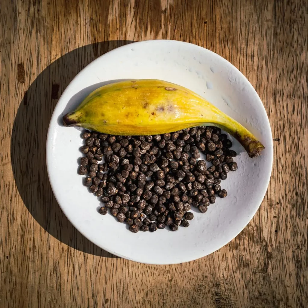 What are the benefits of Black seeds in Wild bananas