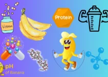 How Much Do Bananas Have Protein?