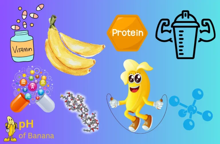 How Much Do Bananas Have Protein