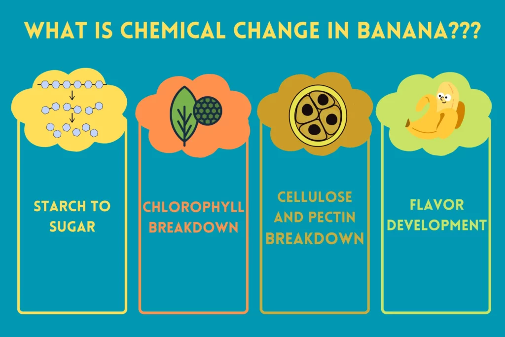 What Is Chemical Change In Banana
