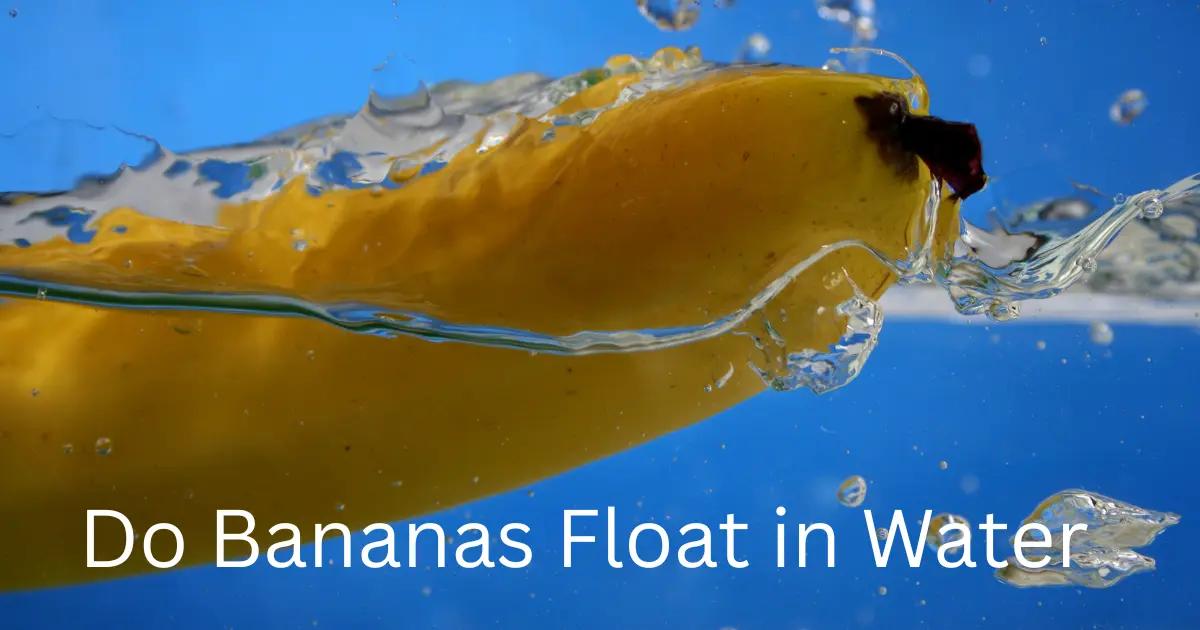 Do Bananas Float in Water? Science of Banana Buoyancy