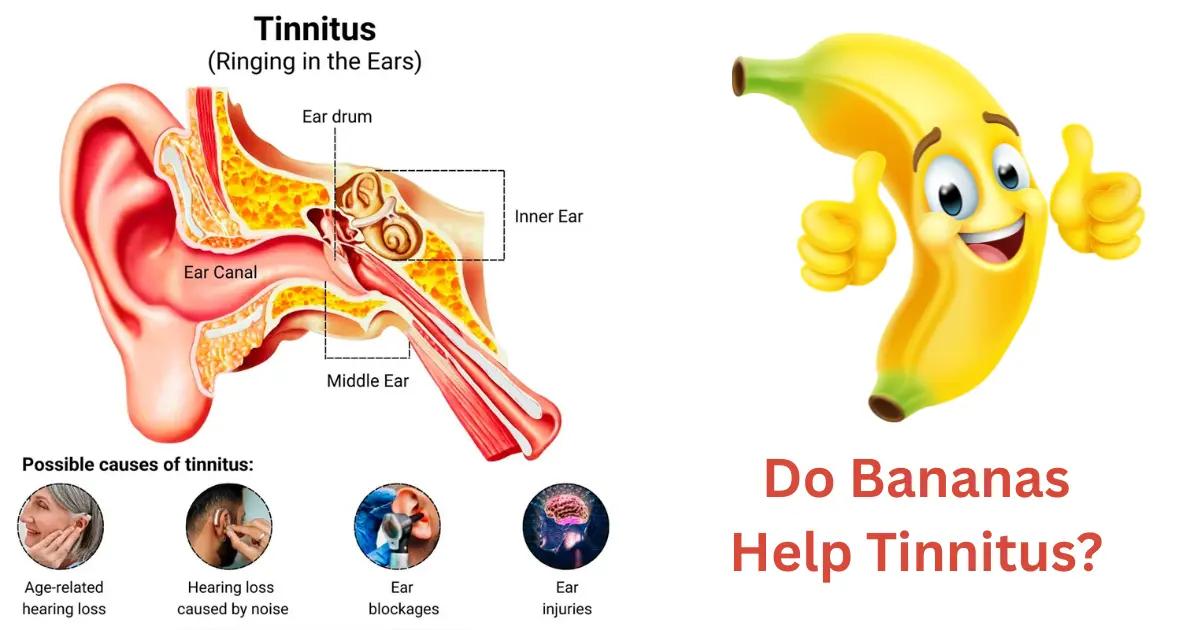 Do Bananas Help Tinnitus? Science-Based Research Answer