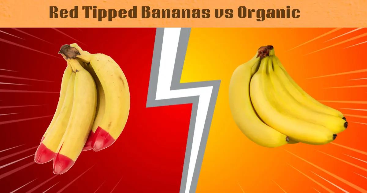 Red-Tipped Bananas vs Organic: Which to Buy in 2025
